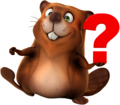 3d beaver funny with question symbol